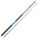 PISCIFUN® LED Lumicat II Catfish Rods, 2 Piece Casting Rods